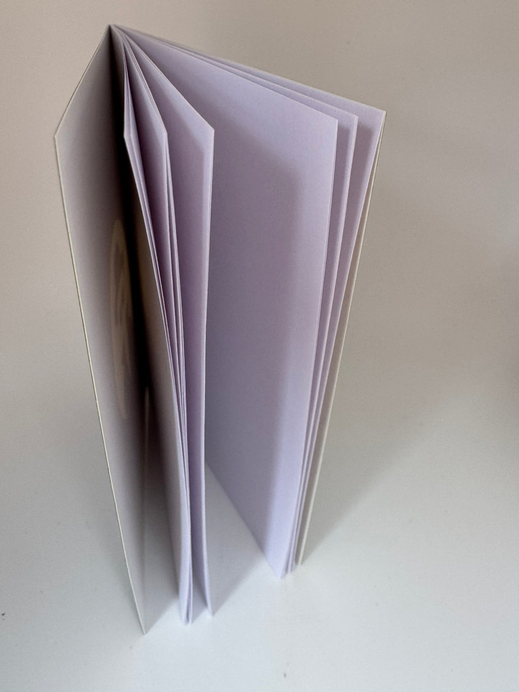 Titkos ügynök jegyzetfüzet / Detective Notes mini füzet