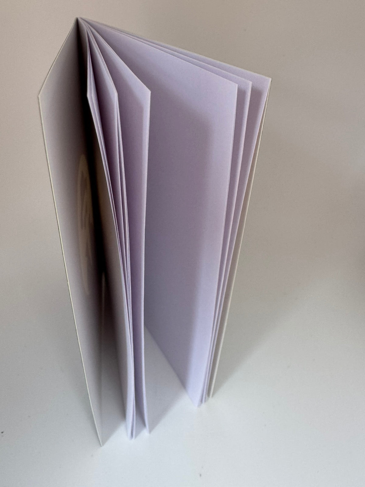 Titkos ügynök jegyzetfüzet / Detective Notes mini füzet